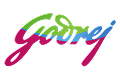 Godrej Locks